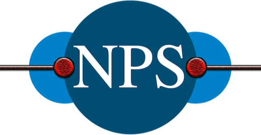 nipuna-prabidhik-sewa
